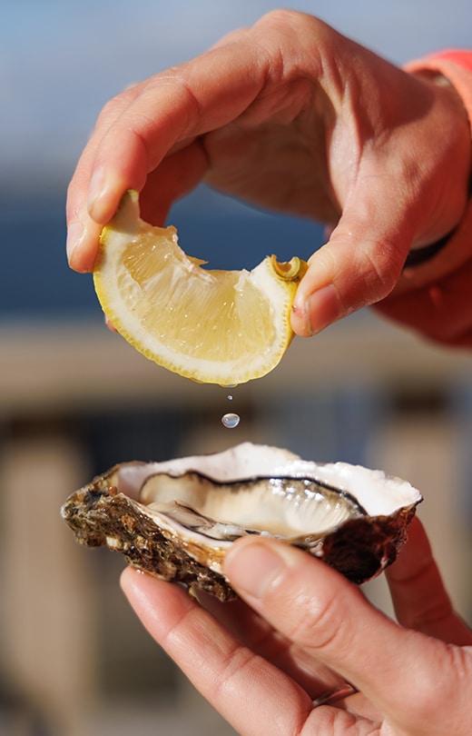 Oyster tasting by the water in Plougastel-Daoulas