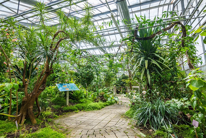 Die tropischen Gewächshäuser des Conservatoire Botanique National