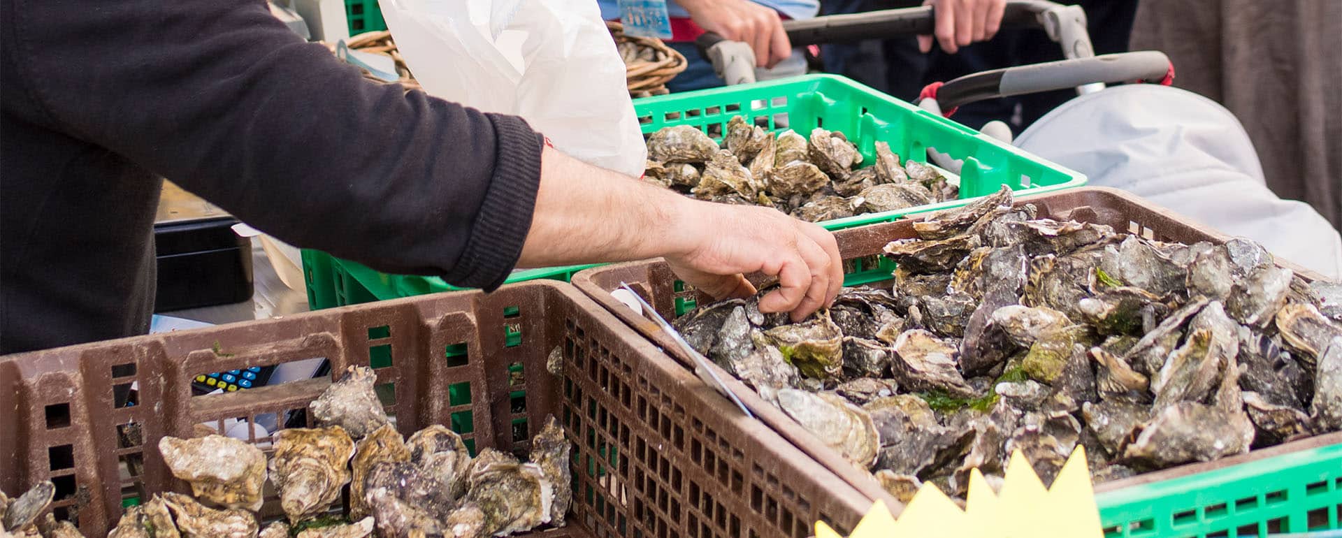 Buy oysters at the St Louis market