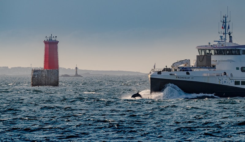 Die Schifffahrtsgesellschaft Penn Ar Bed gewährleistet die Überfahrten zwischen den Inseln